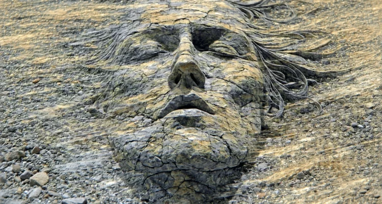 Pierre de bronzite : cultiver la patience et le lâcher-prise