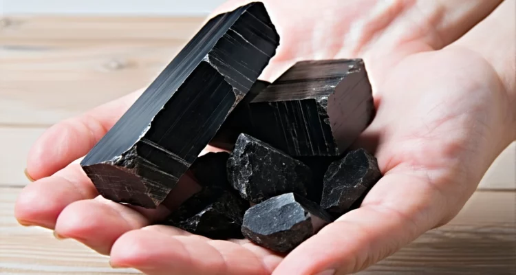 Pierre de shungite : purifier l’énergie de votre maison